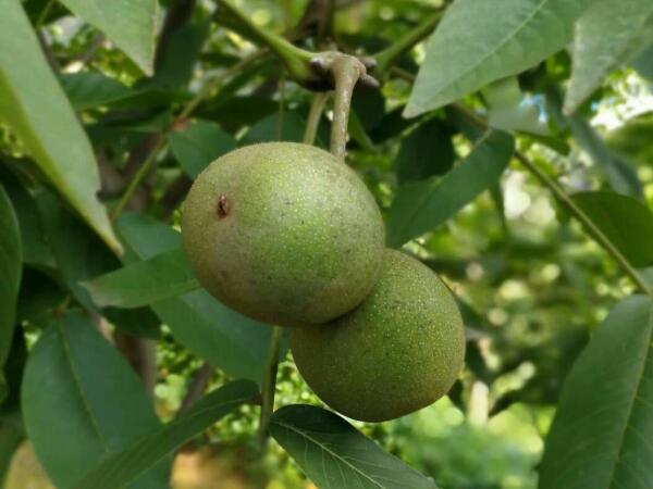 欧宝电竞娱乐网址
