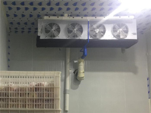 飞娱电竞娱乐中心电话客服
设计