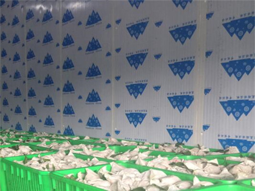 解码飞娱电竞娱乐中心电话客服
：建设流程中的关键环节与创新实践