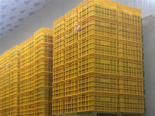 解码飞娱电竞娱乐中心电话客服
：建设流程中的关键环节与创新实践