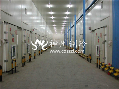 成都冷库建造：冷链物流的坚实堡垒